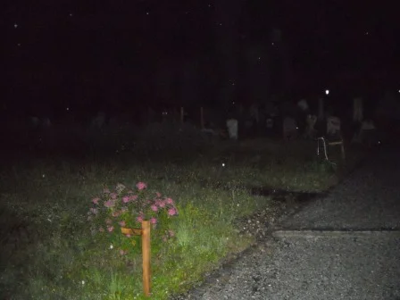 Friedhof 3