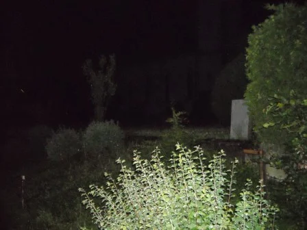 Friedhof 7