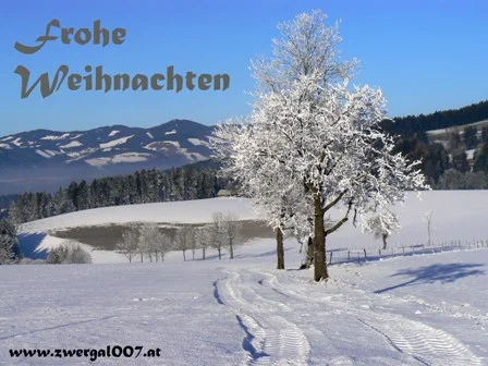FROHE WEIHNACHTEN