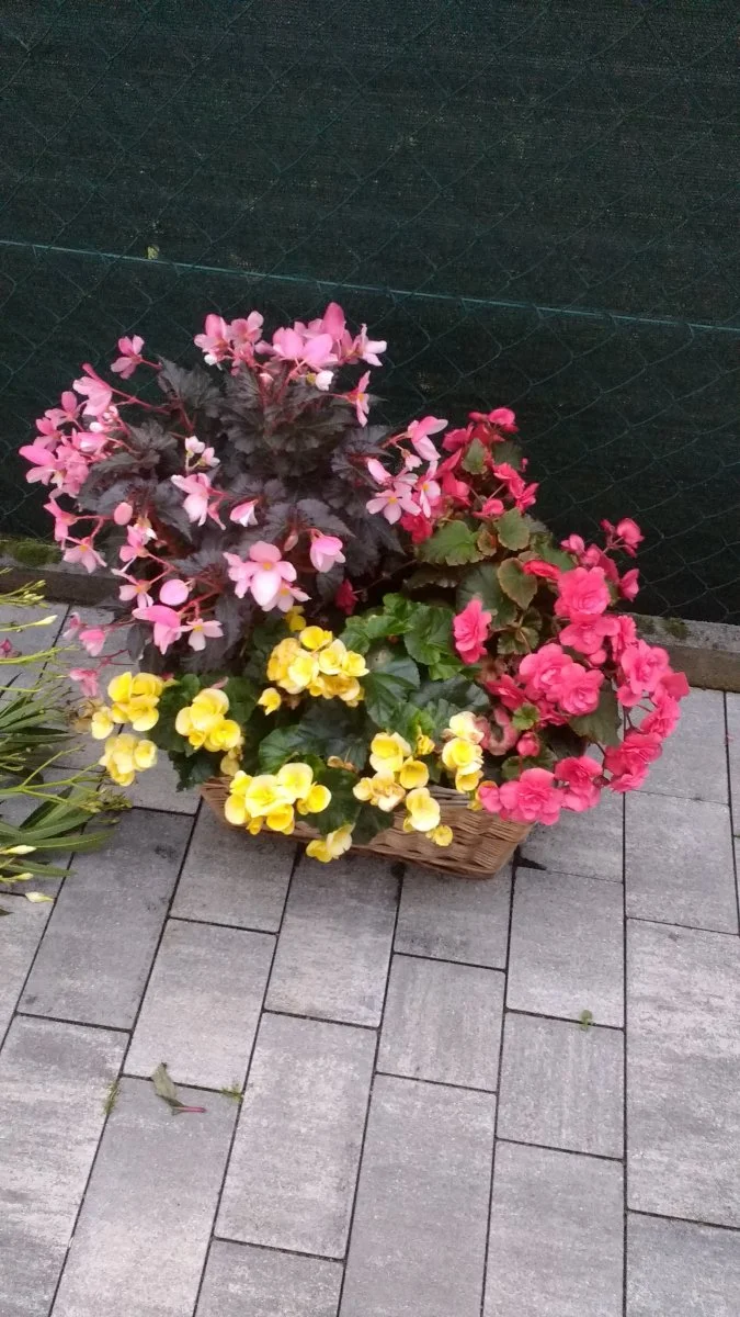 Frühjahr 2018 003.jpg