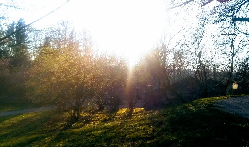 Frühlingsimpressionen_12.jpg