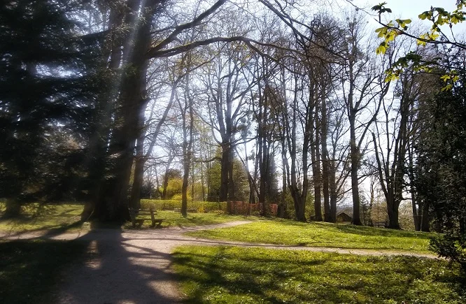Frühlingsimpressionen_13.jpg