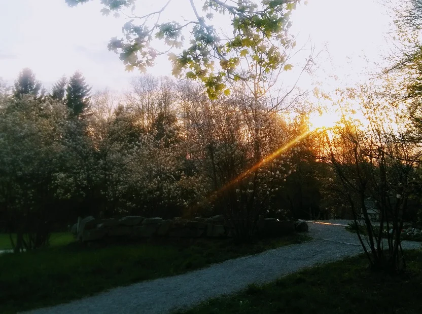 Frühlingsimpressionen_14.jpg