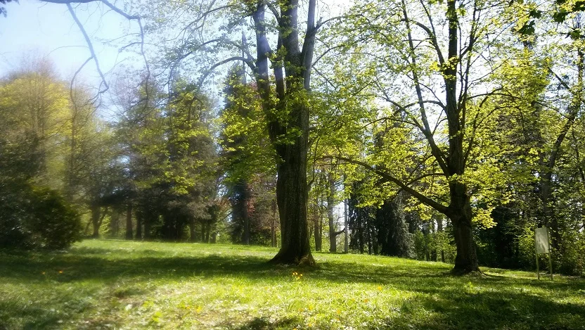 Frühlingsimpressionen_23.jpg