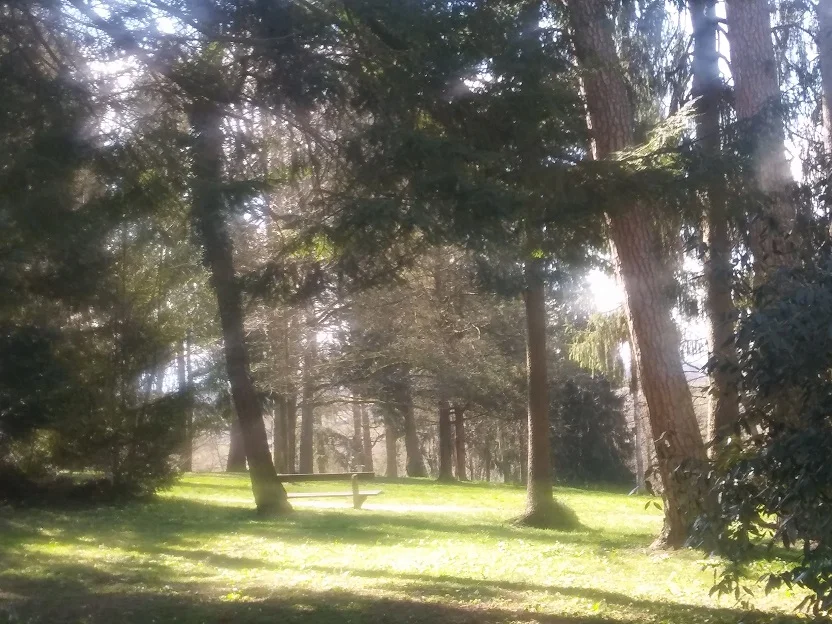 Frühlingsimpressionen_3.jpg