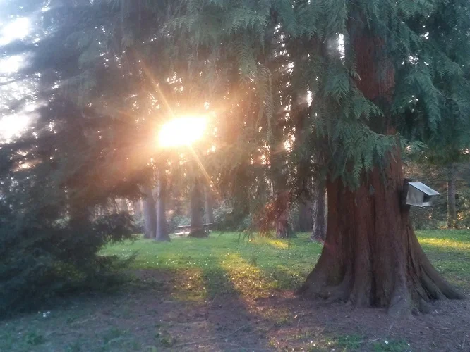 Frühlingsimpressionen_6.jpg