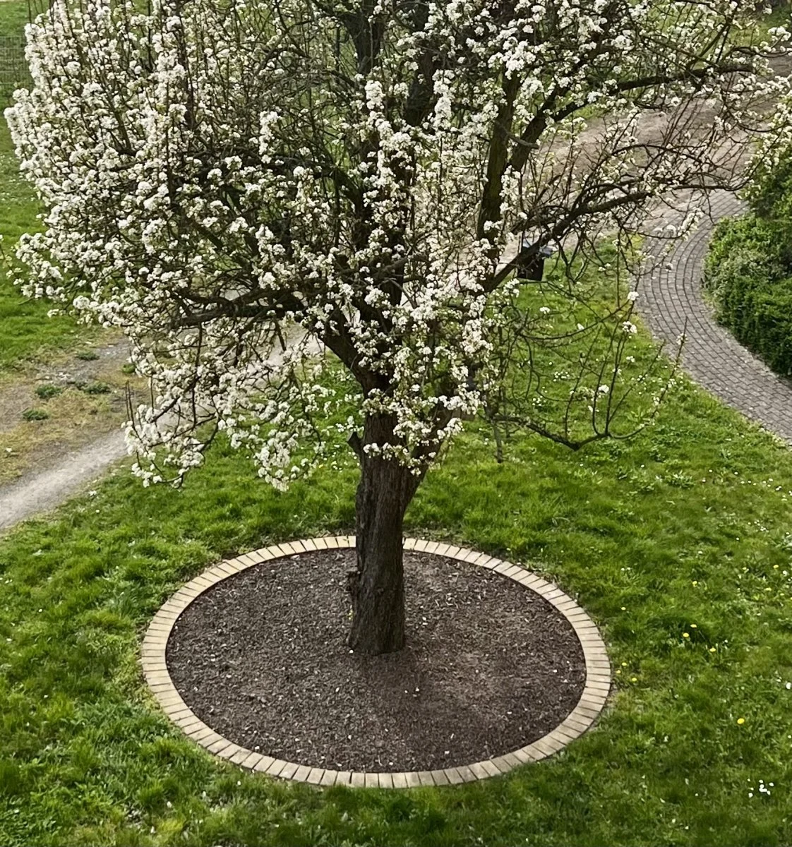 FullSizeRender.jpeg