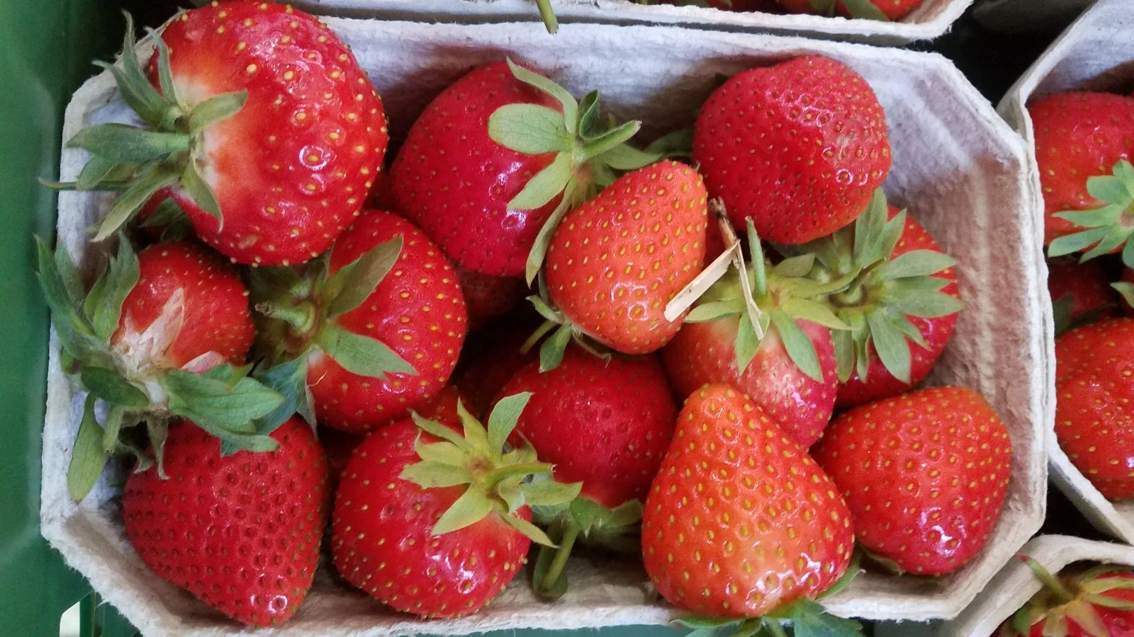 Garten 2019 bis 7.6.2019 1500.jpg