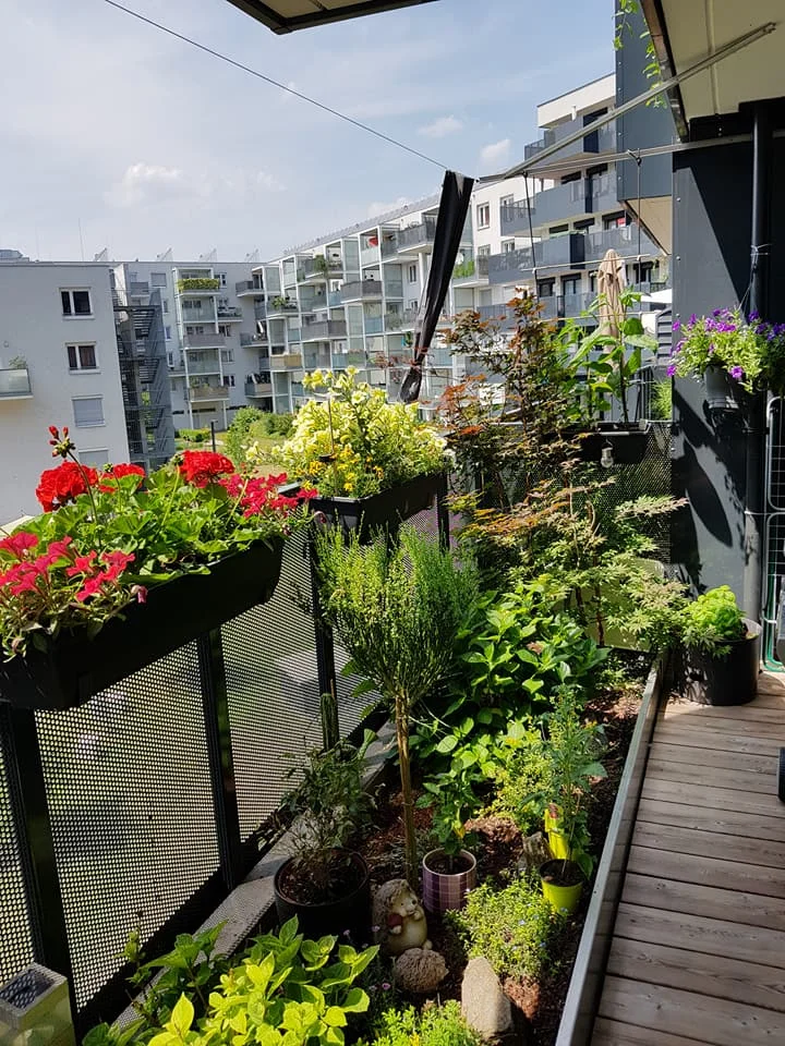 garten 3.jpg