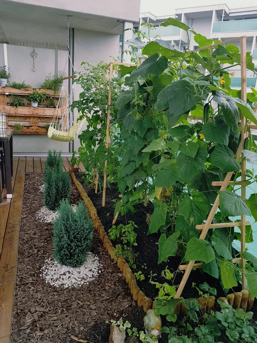 garten.jpg