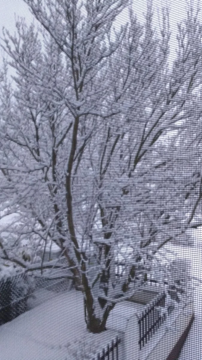 Garten Juli 2018 082.jpg