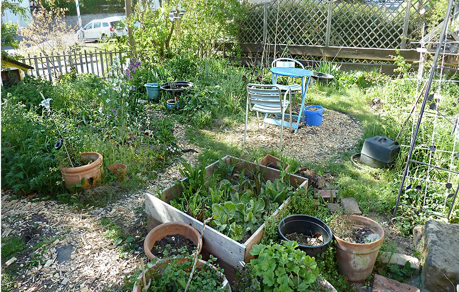 Garten mai 21 2 Kopie-1.jpg