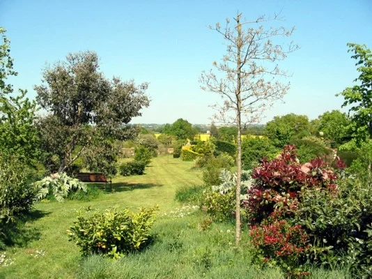 Garten meiner Tochter in Frankreich