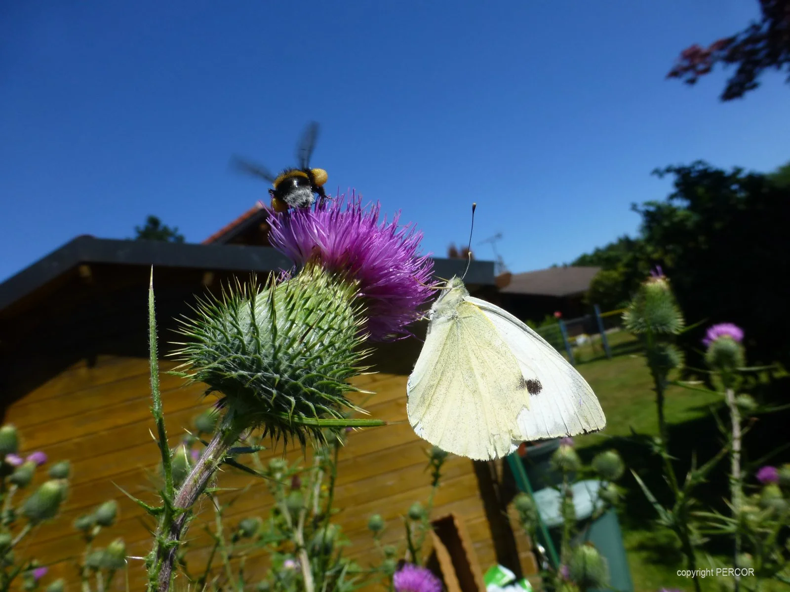 Geben und nehmen.jpg