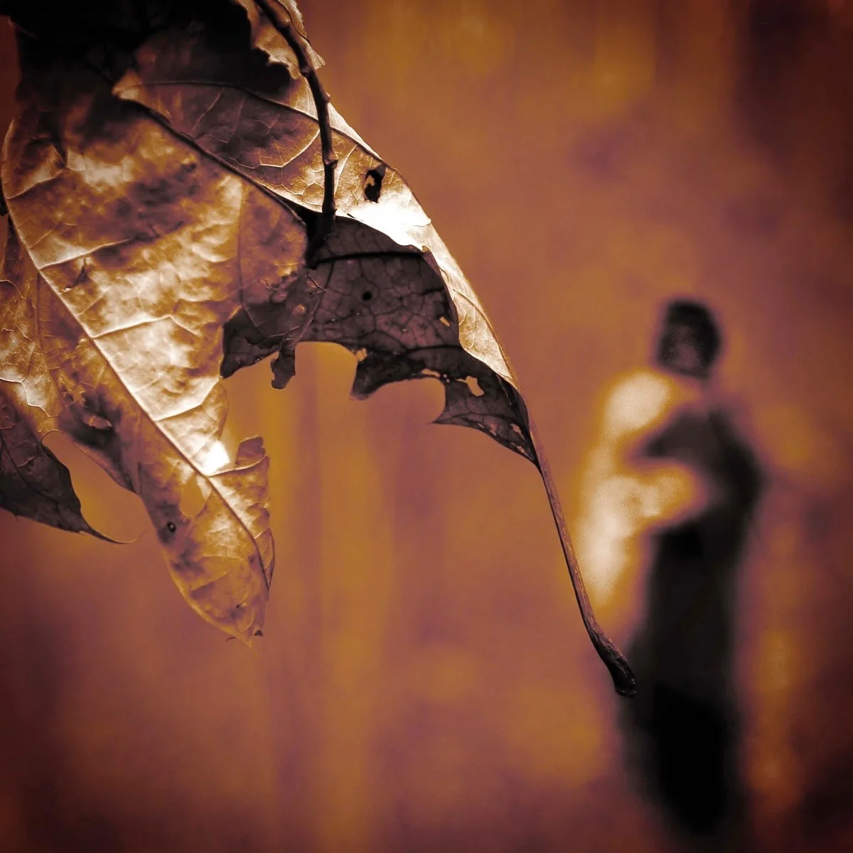 Gestalt