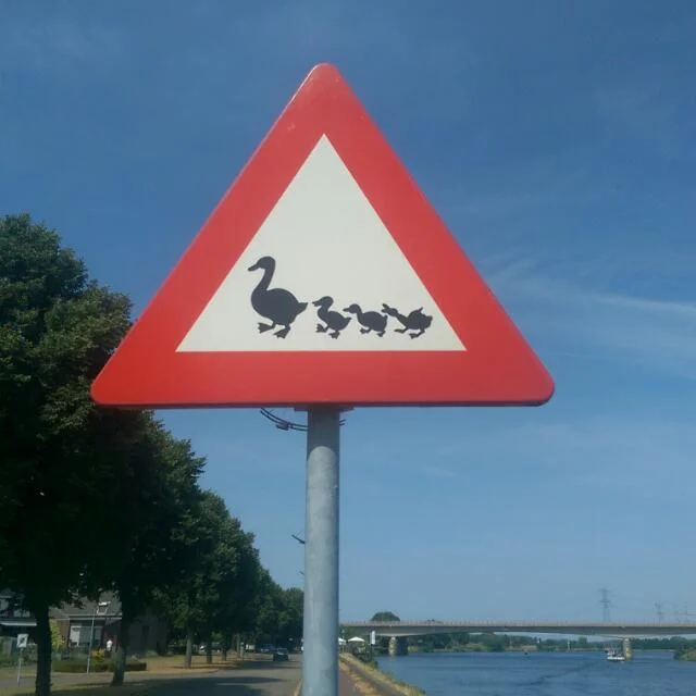 Handy Bilder 768.jpg