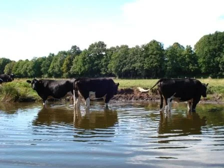 hei_er_Sommer