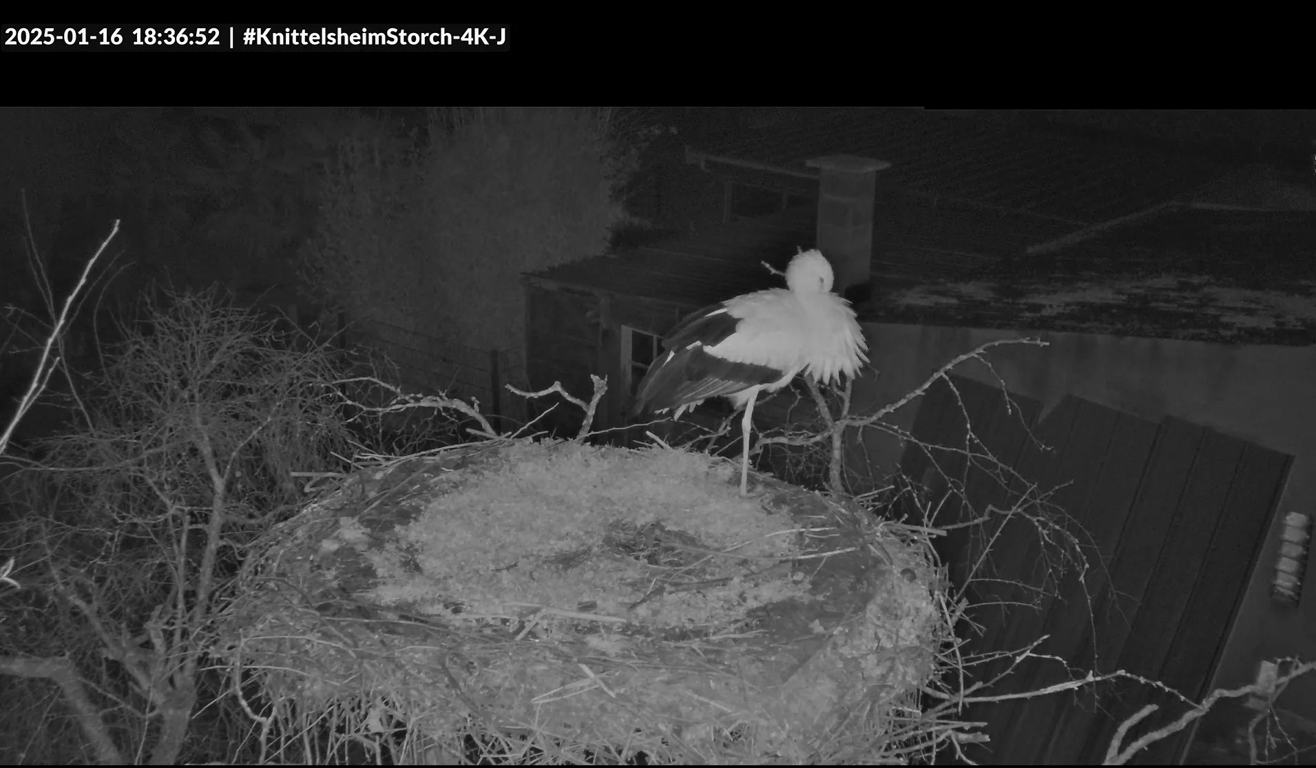 Heimkehrer-Nr2-Knittelsheim_ Webcam-2025-01-16.webp