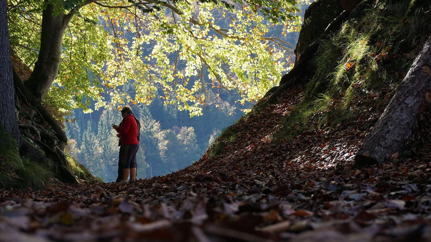 Herbst