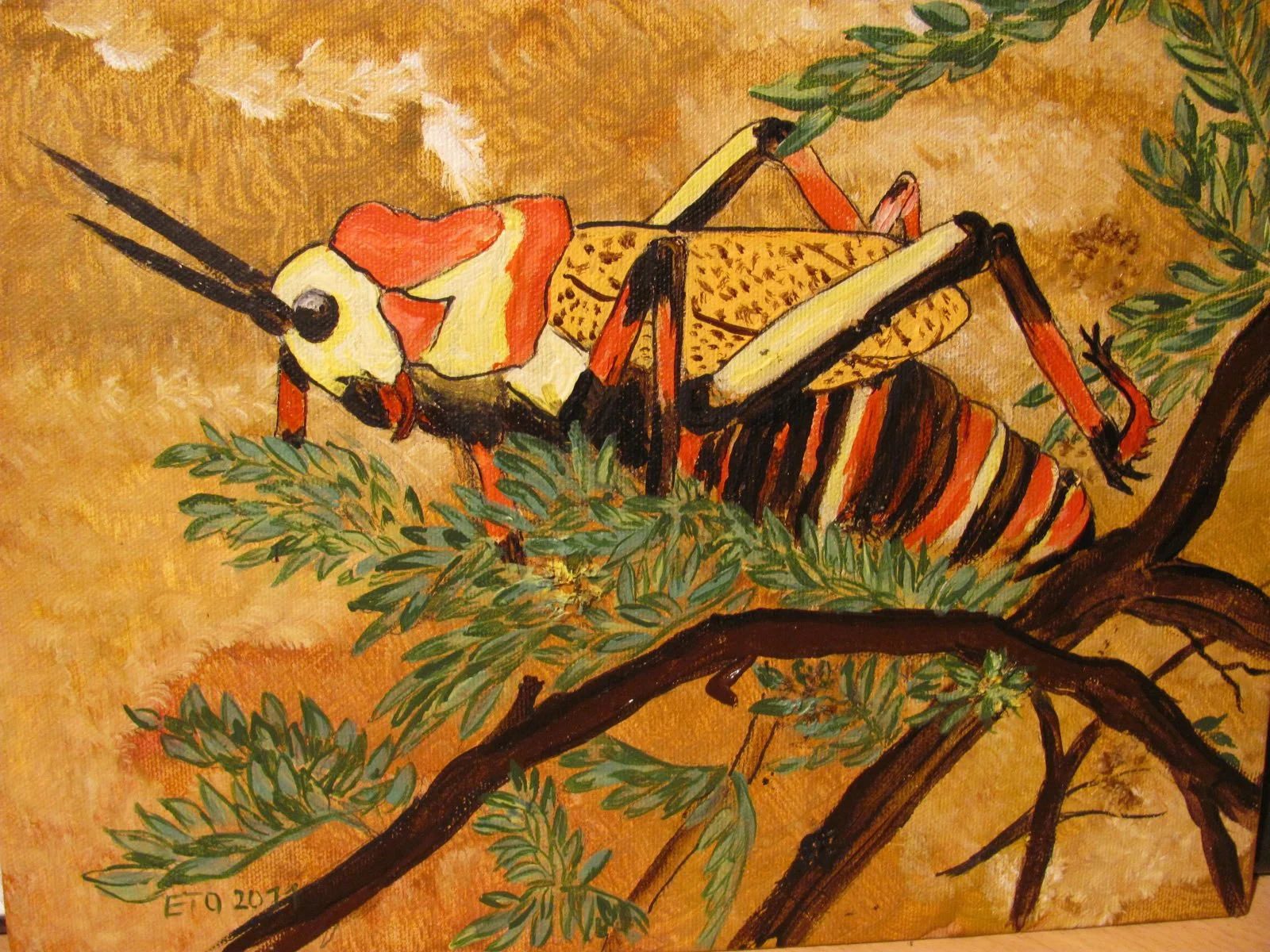 Heuschrecke IMG_0303.JPG