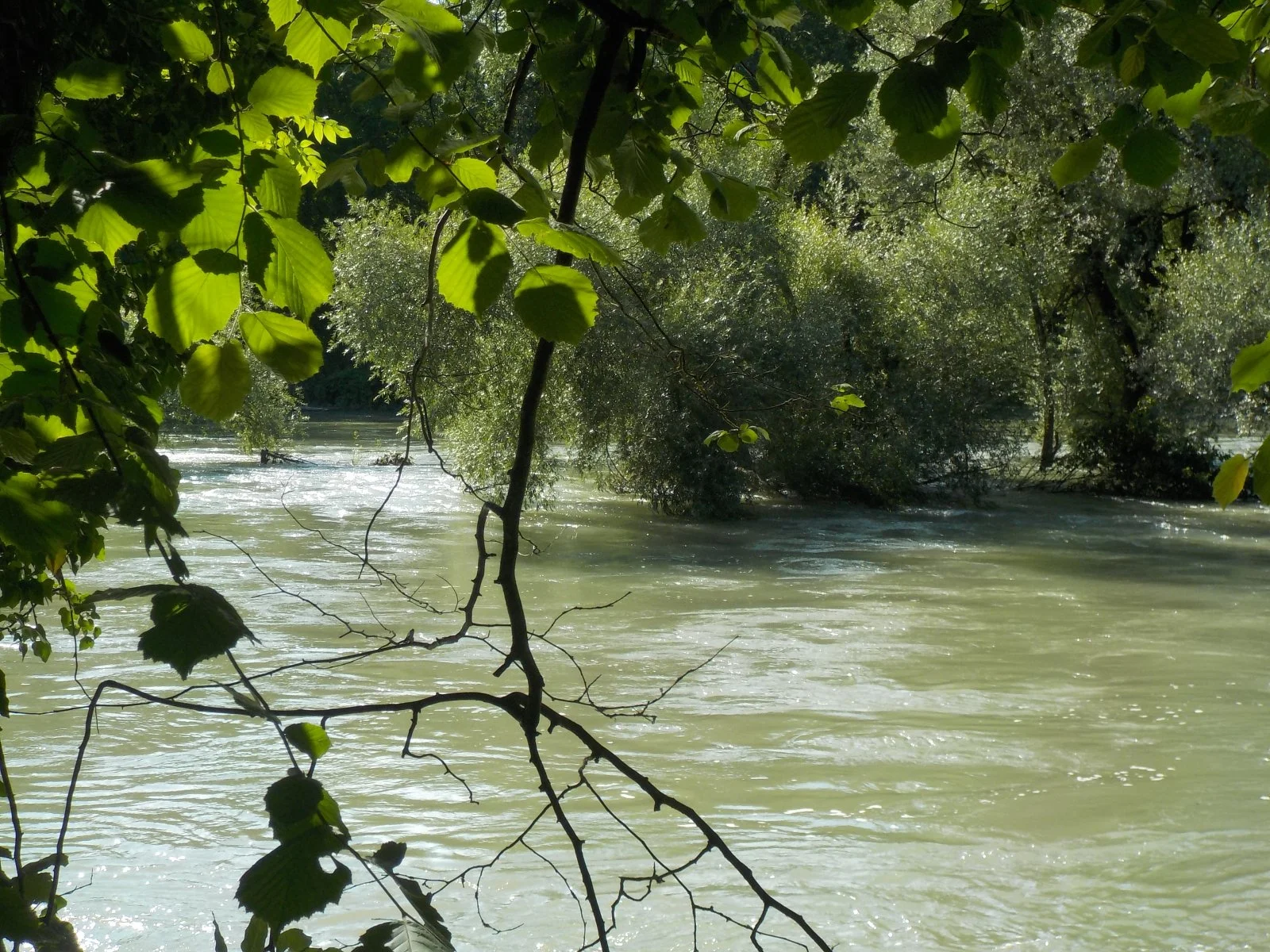 Hochwasser.JPG