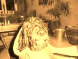 Hundi