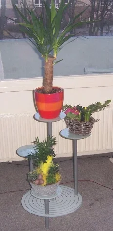 Ich hab nun auch Grnzeug