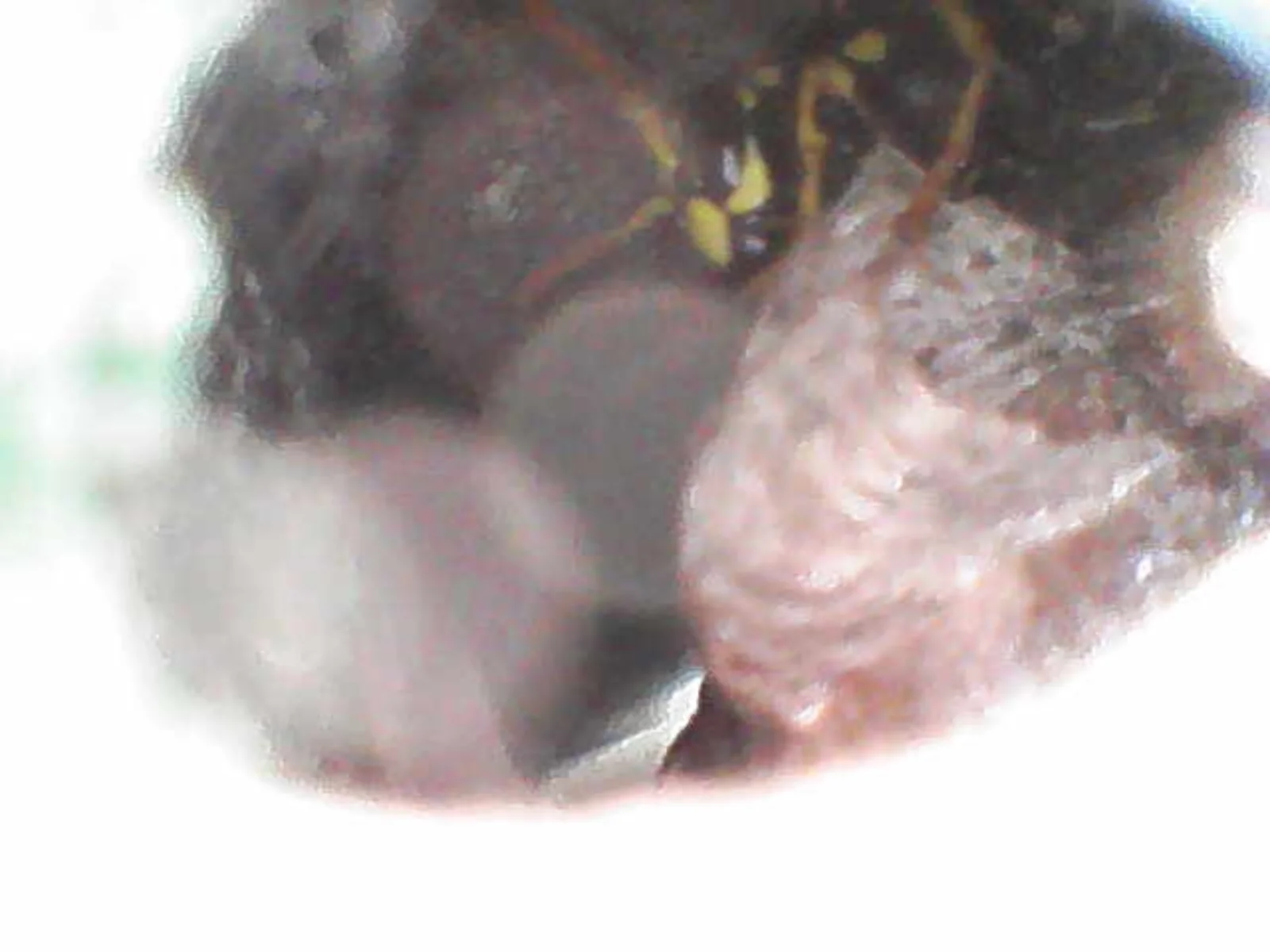 Image_2026-03-03 14_19_16_191.webp