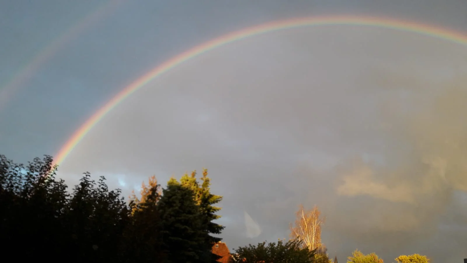 IMG-20191018-WA0005.jpg