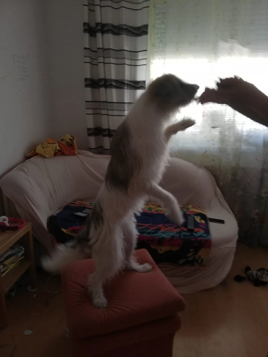 IMG-20191204-WA0001.jpg