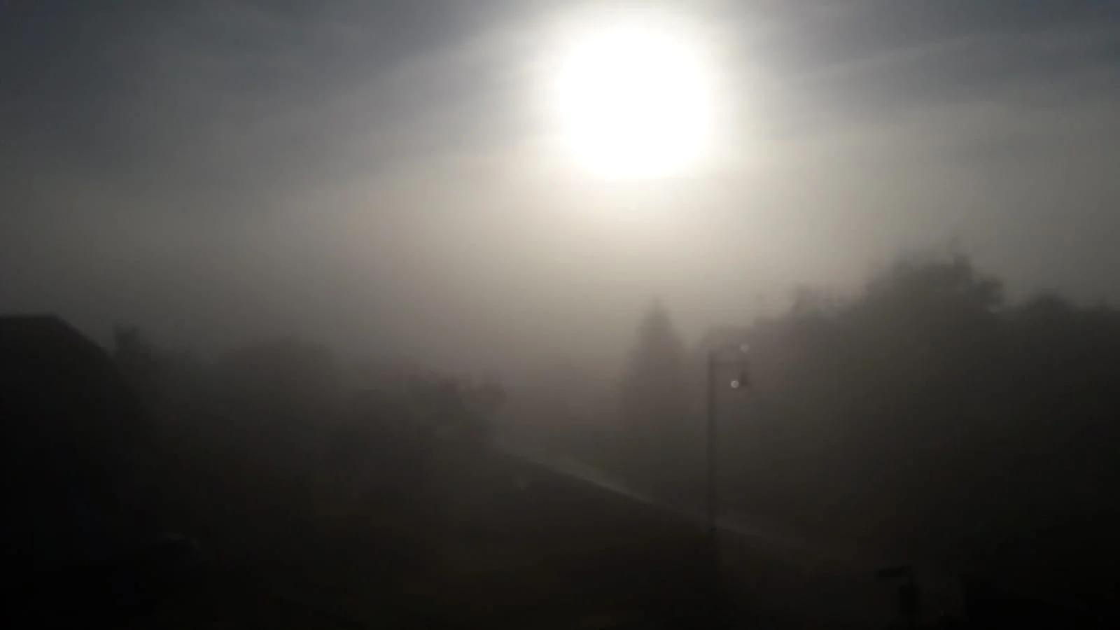 IMG-20211023-WA0005.jpg