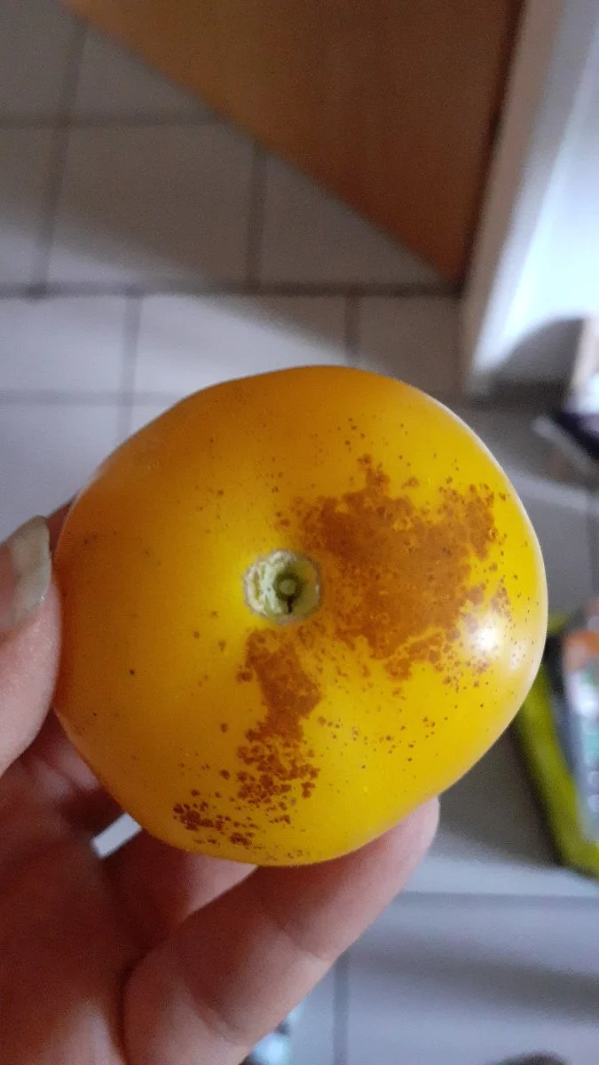IMG-20230818-WA0000.jpeg