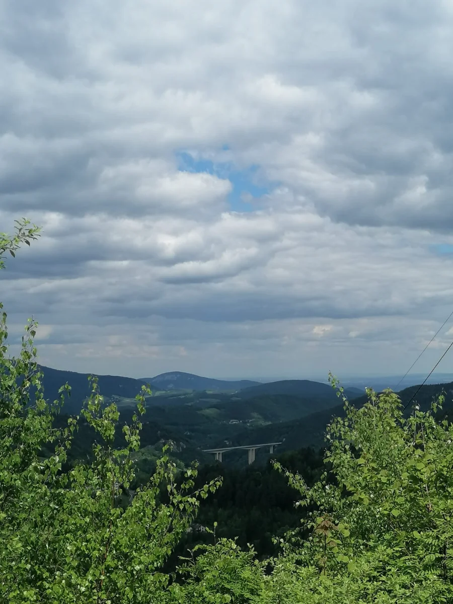 IMG-20250524-WA0002.webp
