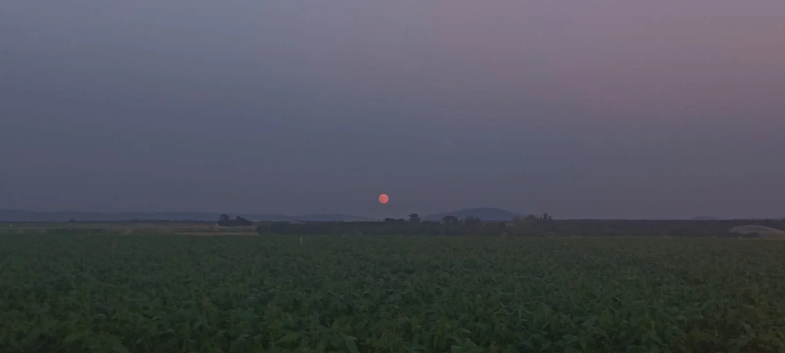 IMG-20250808-WA0005.webp