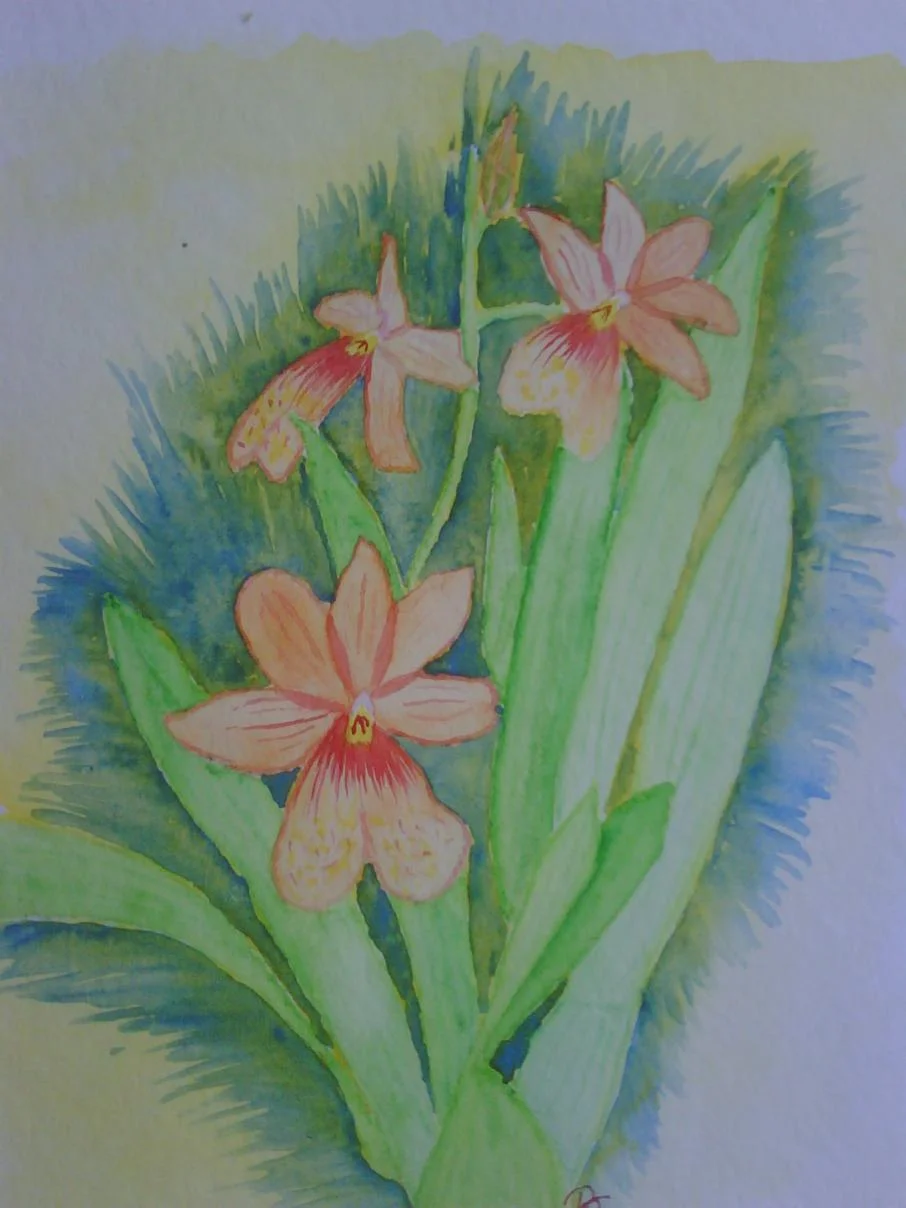 IMG00057.jpg