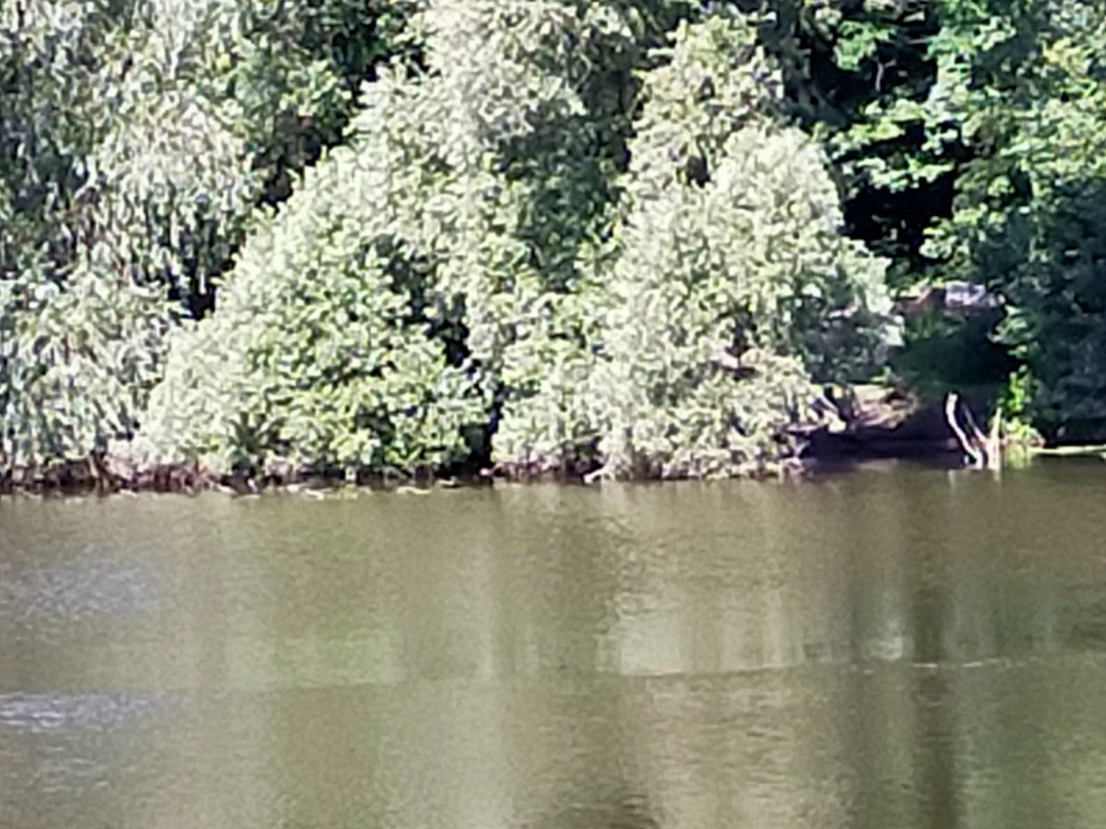 IMG20210718110126.jpg
