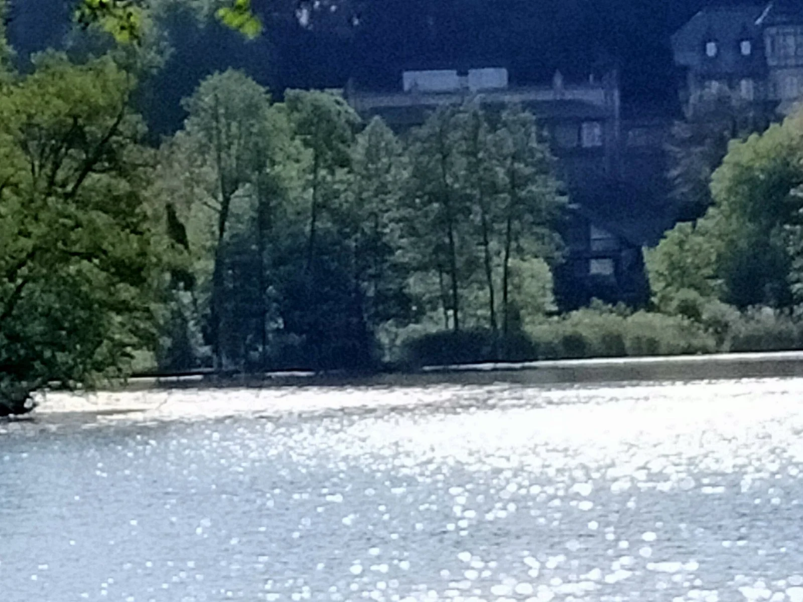 IMG20240518084843.jpg