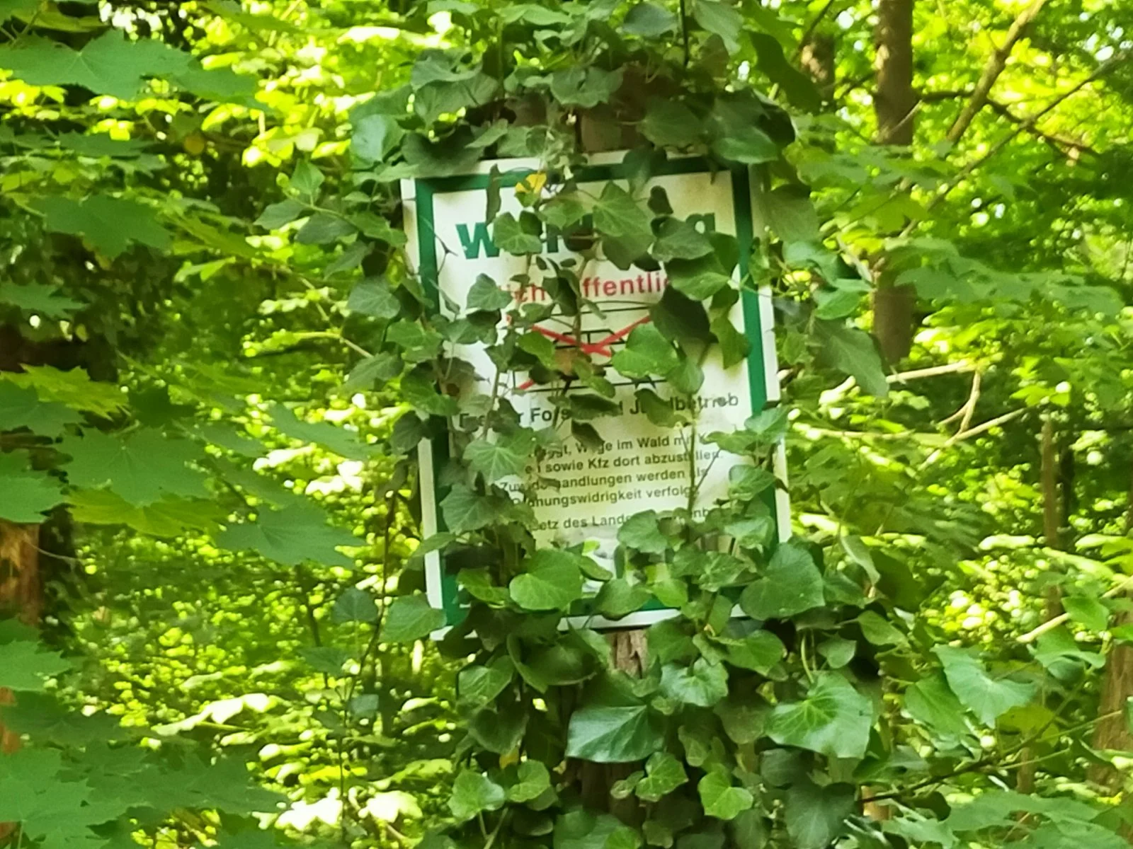 IMG20240527155319.jpg