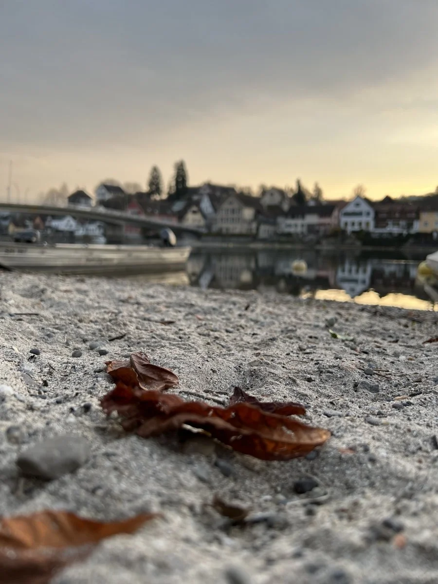 IMG_0453.jpeg