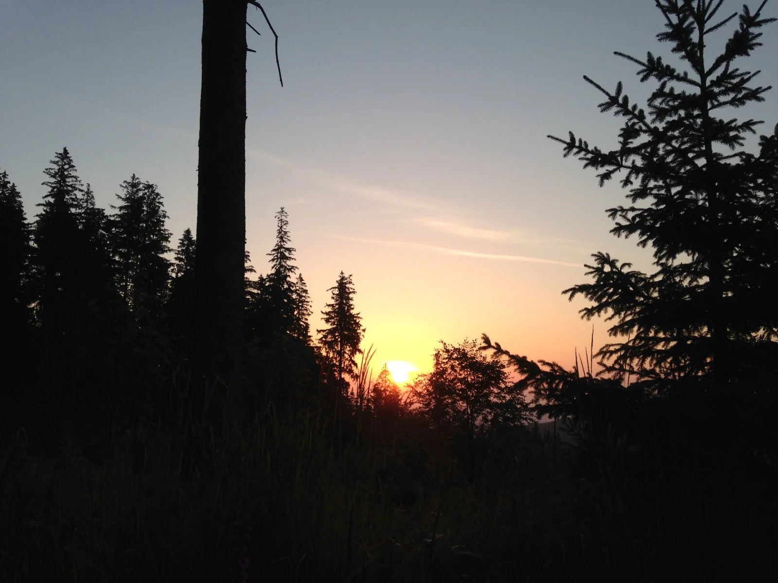 IMG_0591.jpeg