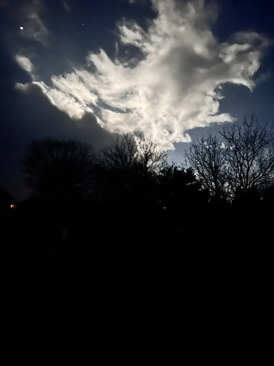 IMG_1314.jpeg