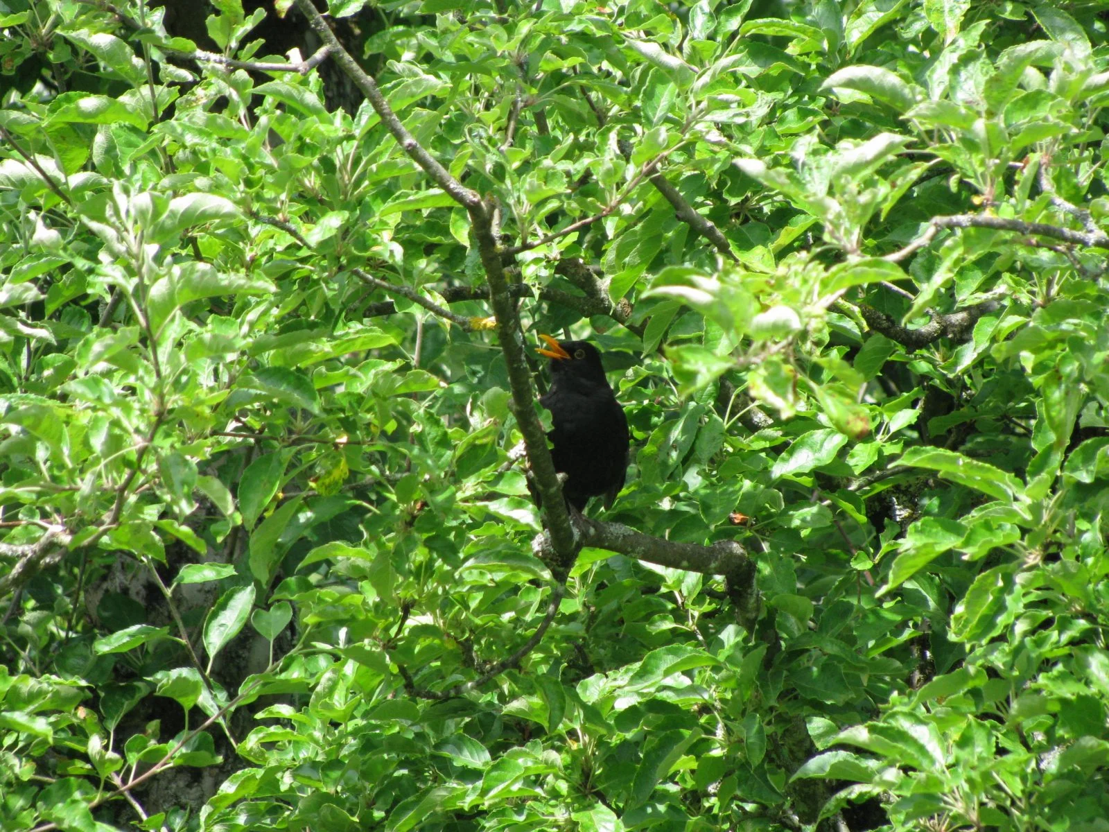 IMG_1834.JPG