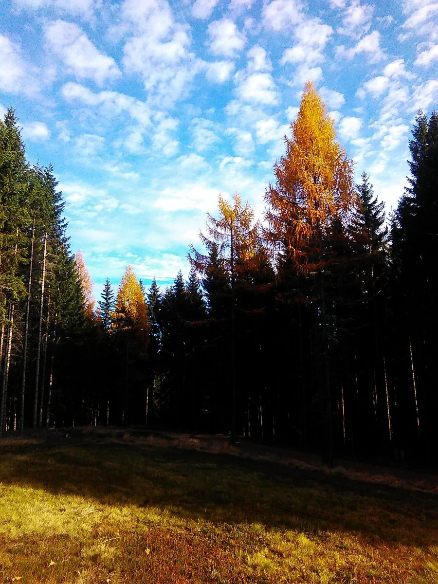 IMG_20151107_135712.jpg