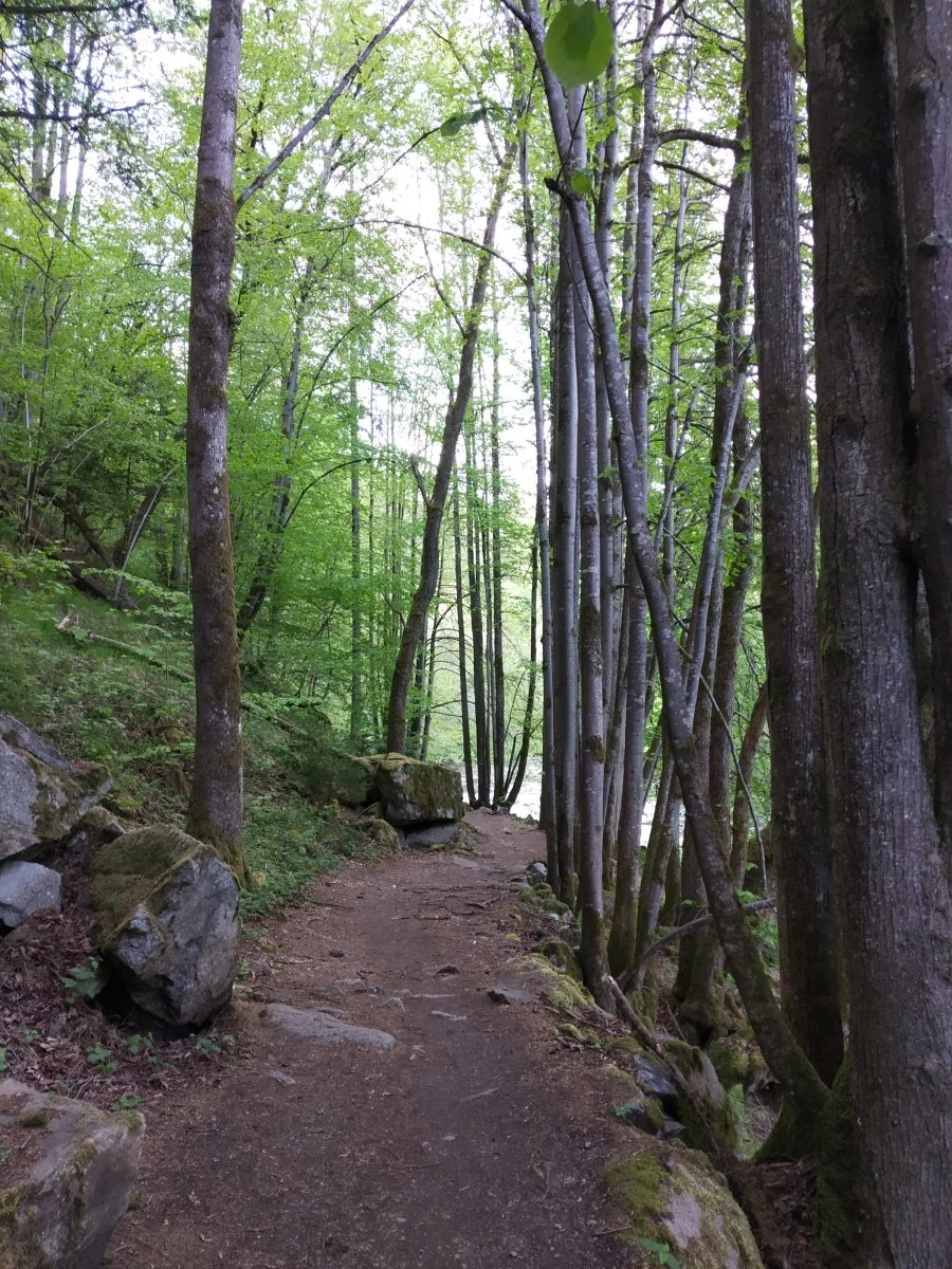 IMG_20200506_171629.jpg
