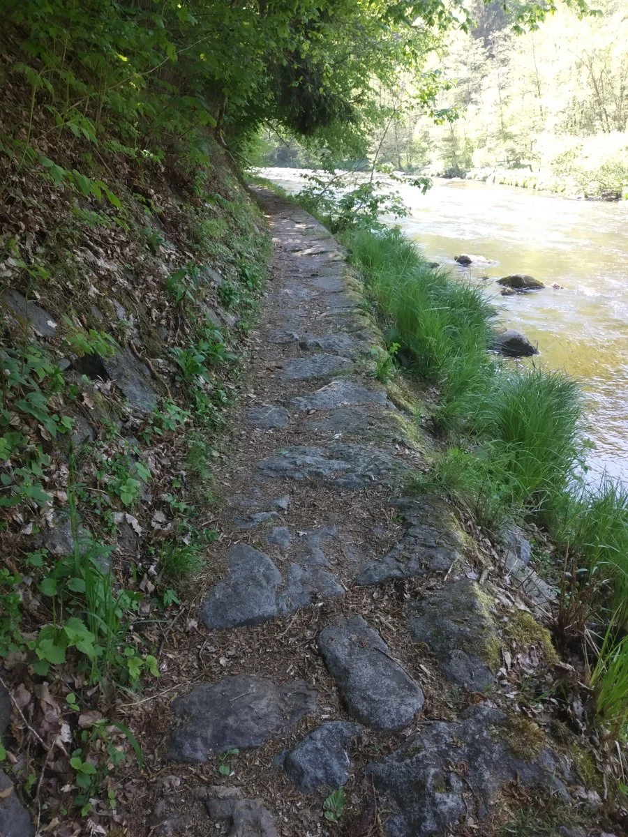 IMG_20200507_142406.jpg