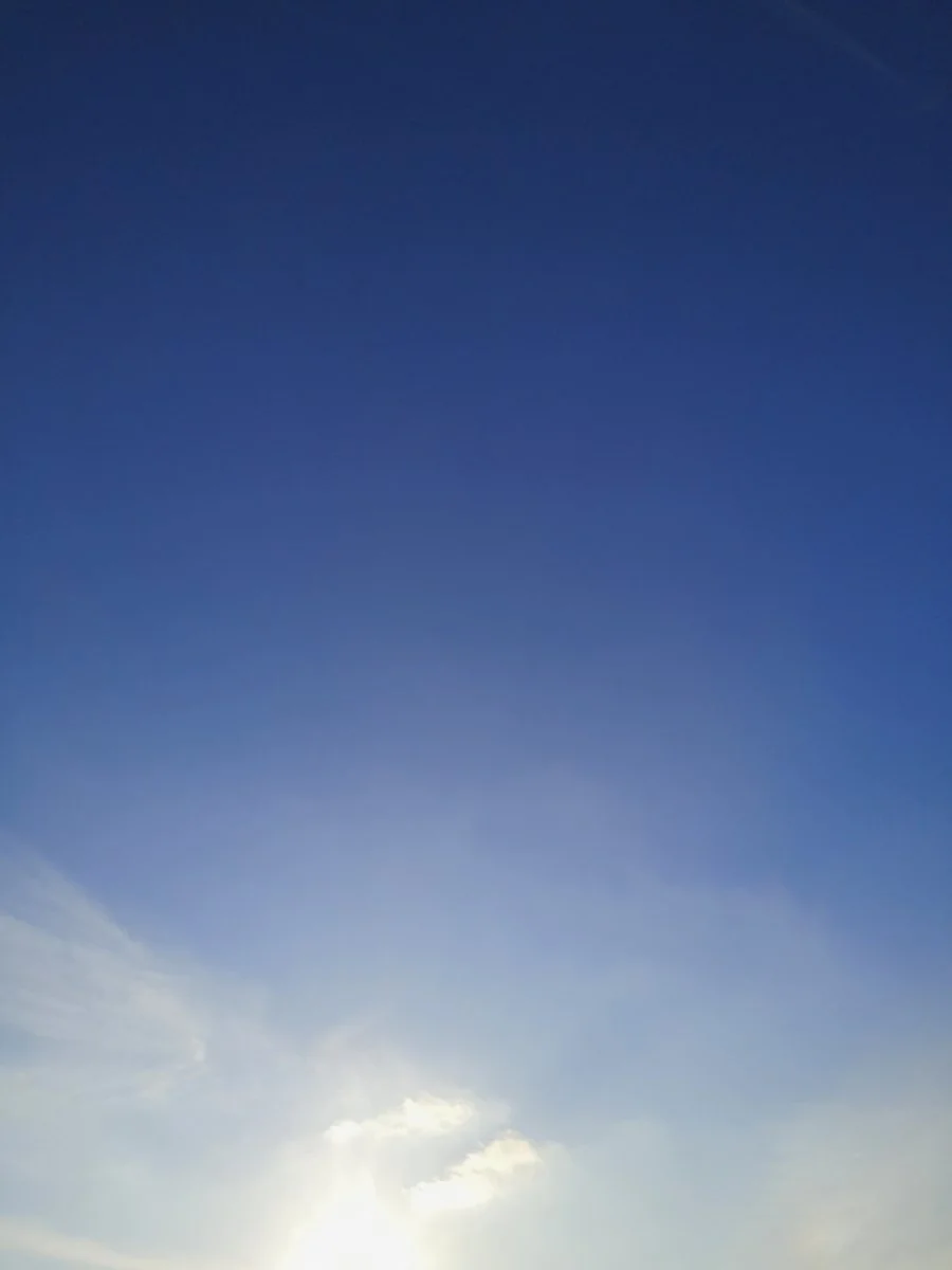 IMG_20210125_154330.jpg