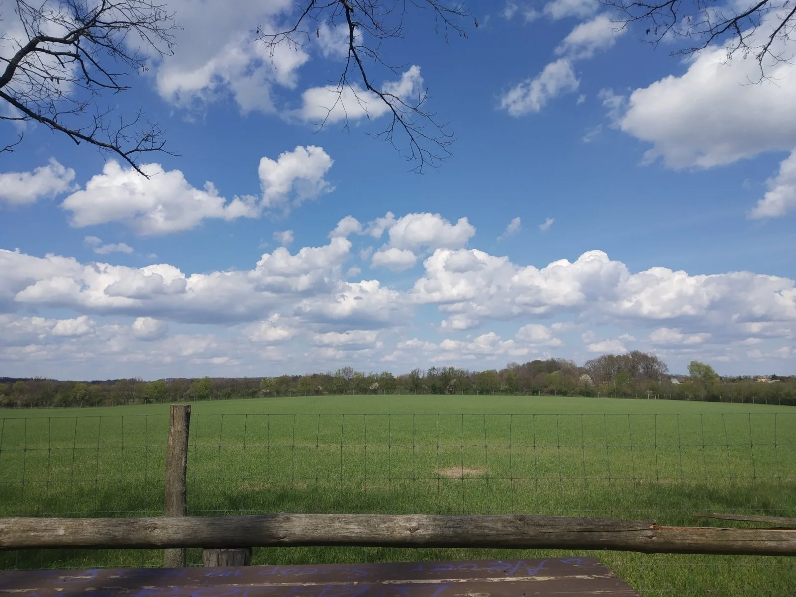 IMG_20210508_141944.jpg