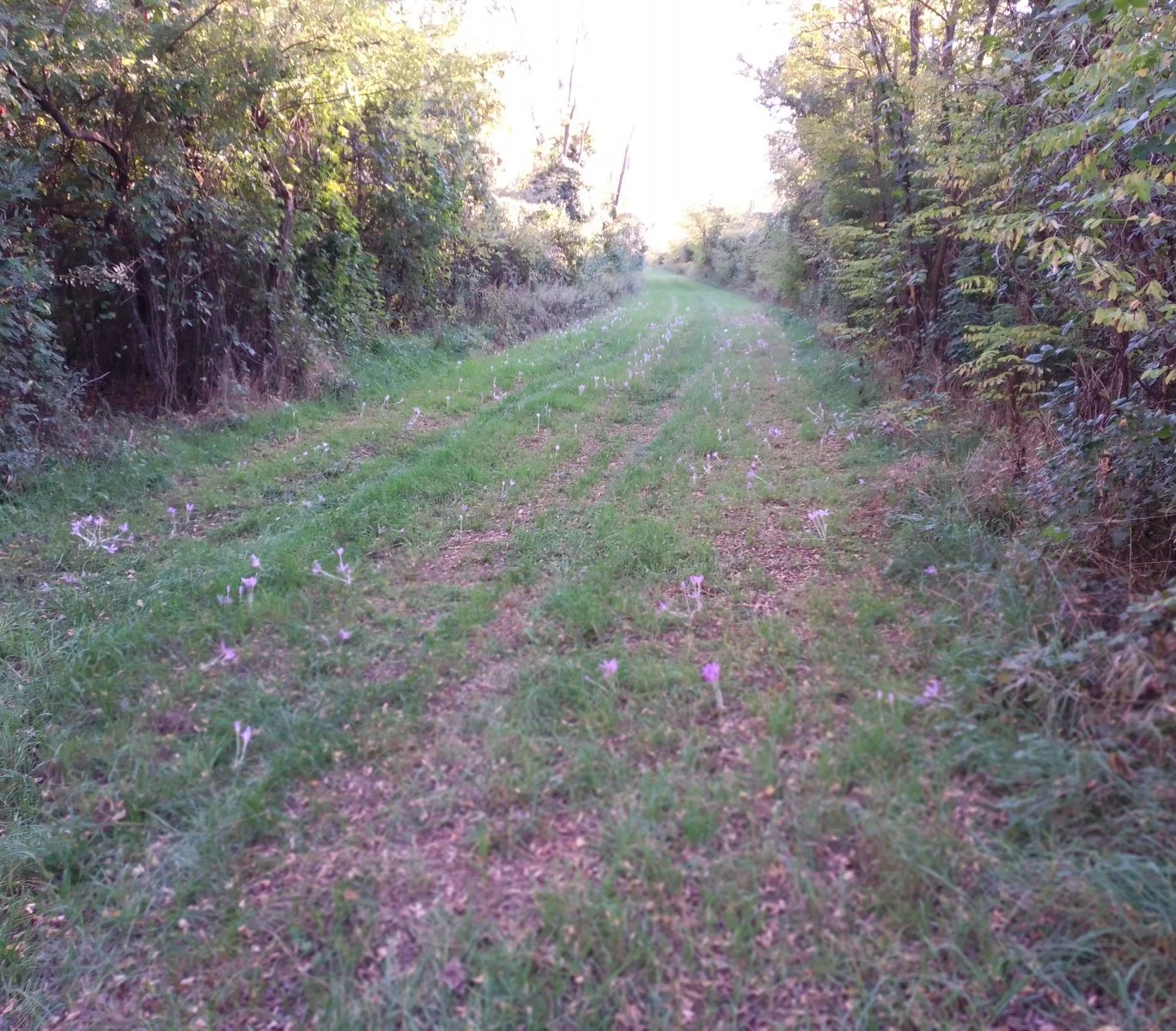 IMG_20210925_173028.jpg