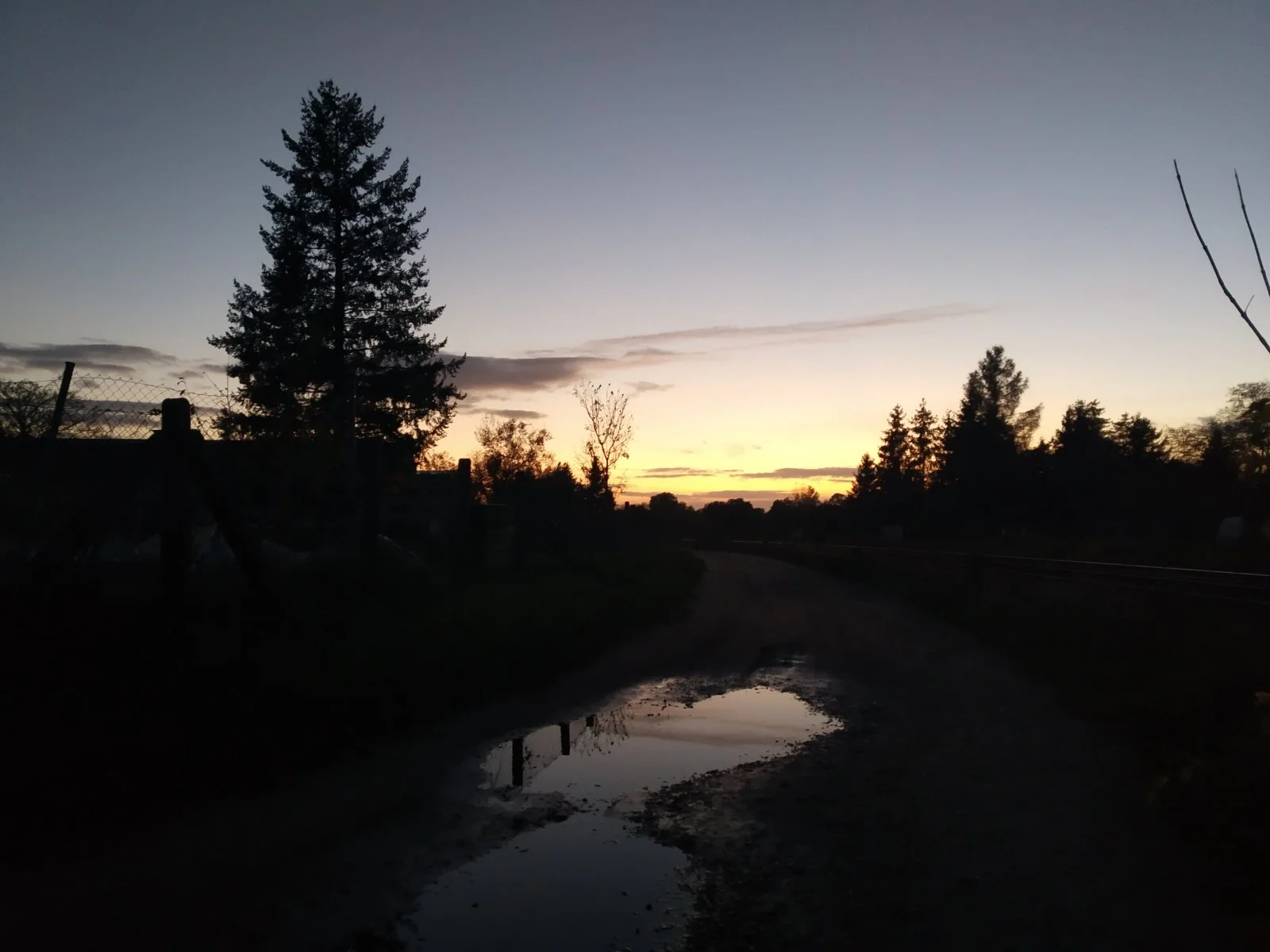 IMG_20211023_182236.jpg