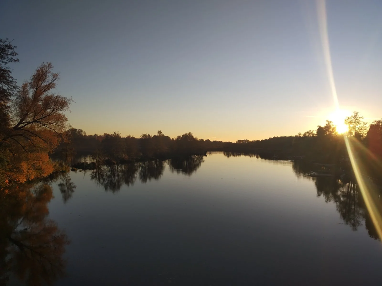 IMG_20211028_171420.jpg